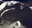 Exogorth