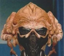 Plo Koon
