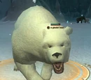 A glacier bear