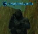 A highland gorilla