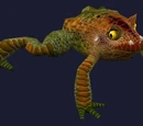 A bile toad