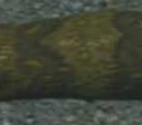 A trained slug