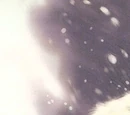 Wampa