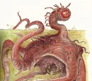 Dianoga