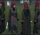 Jedi gris