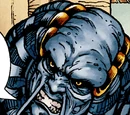 Feln