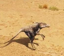 Scurrier