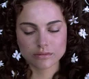 Funeral de Padmé Amidala