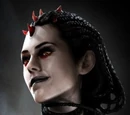Maris Brood