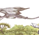 Accipíptero
