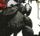 Farallah (Earth-616)