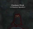 Chardasus Divok