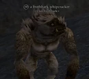 Frothbark whipcracker