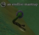 An erollisi mantrap