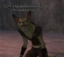 A Quaketail brewer
