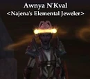 Awnya N'Kval