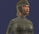 Sturdy leather (Armor Set)