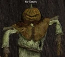 Sir Tatters