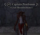 Captain Powboom