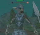 Captain Riplung
