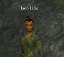 Ilaen Lilac