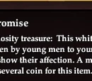 Bride's promise