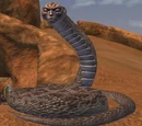 A Naruem sister seer