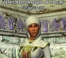 A Concordium sorcerer