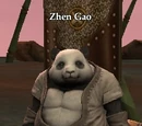 Zhen Gao