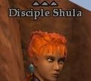 Disciple Shula