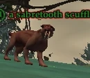 A sabretooth scuffler