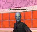 A Quellithulian elite guard