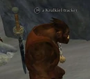 Krulkiel tracker