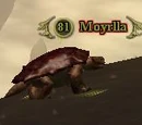Moyrlla
