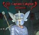 Captain Cahptor