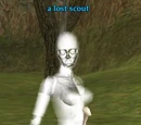 Lost scout