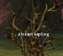 A treant sapling