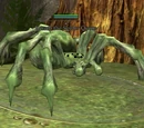 Karach the Spider Queen