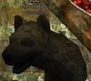 Secundus