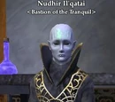 Nudhir Il'qatai