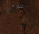 A Sandscrawler miner