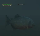 Chomper