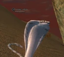 A toxic cobra