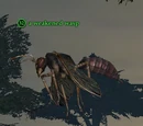 A weakened wasp