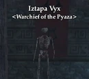Iztapa Vyx