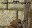 An escaped kadaren primate