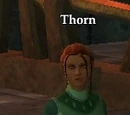 Thorn