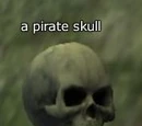 A pirate skull