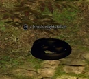 A brush nightstalker