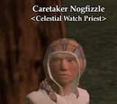 Caretaker Nogfizzle